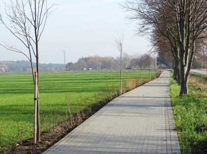 Zdjęcie przedstawiające gotową drogę gminną Łupawa – Maczkowo z lewej strony widoczne nowo posadzone krzaki i drzewka