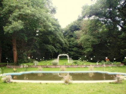 staw-fontanna w parku