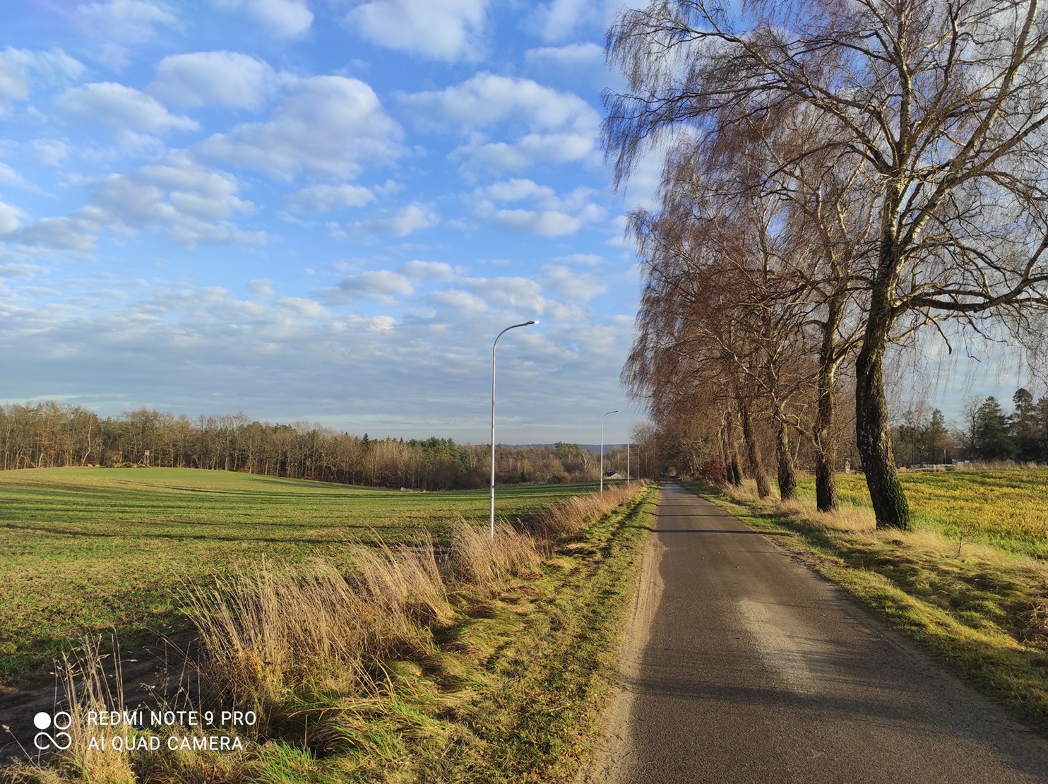 Zdjęcie: Nowe oświetlenie drogowe w Runowie za pałacem