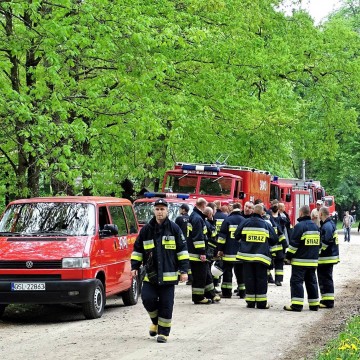 Strażackie manewry w Nadleśnictwie Łupawa. Ćwiczyli gaszenie lasu