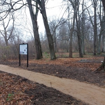 Zakończona realizacja inwestycji w parku w Skórowie